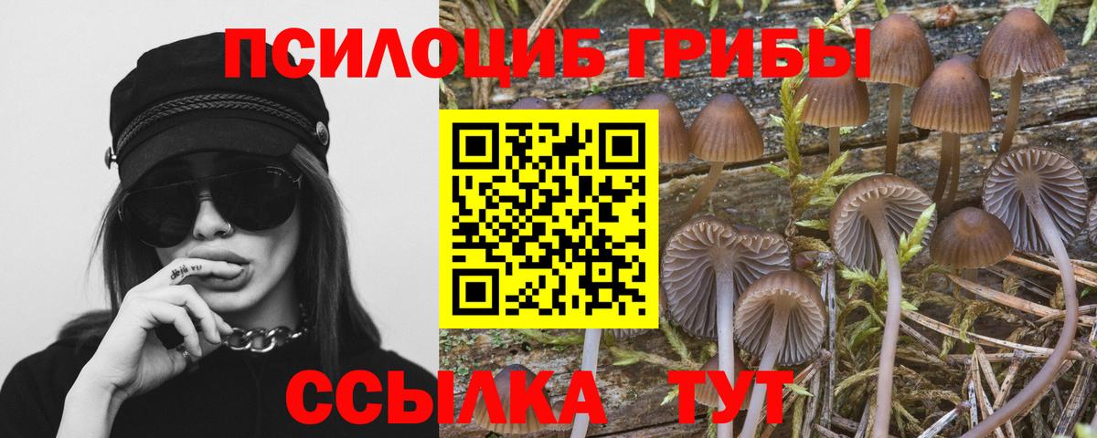 Псилоцибиновые грибы Psilocybine cubensis  Вход с VPN  Артёмовский 